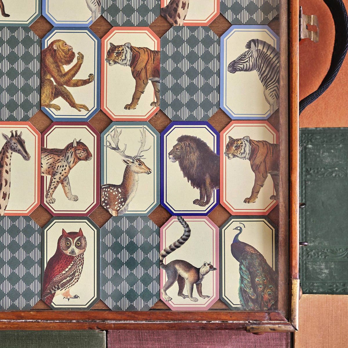 Memory Game - Animal Kingdom