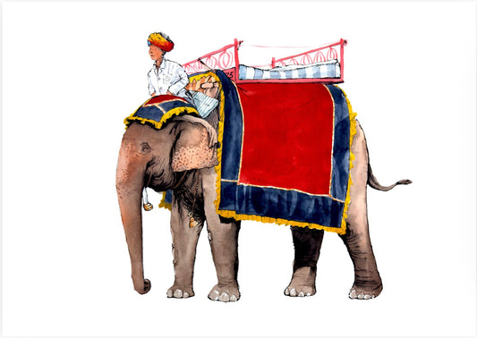 Elephant Print by Sam Usher