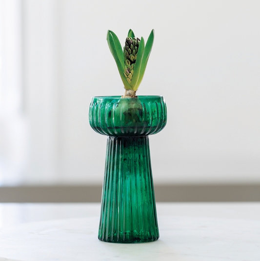 Hyacinth Vase